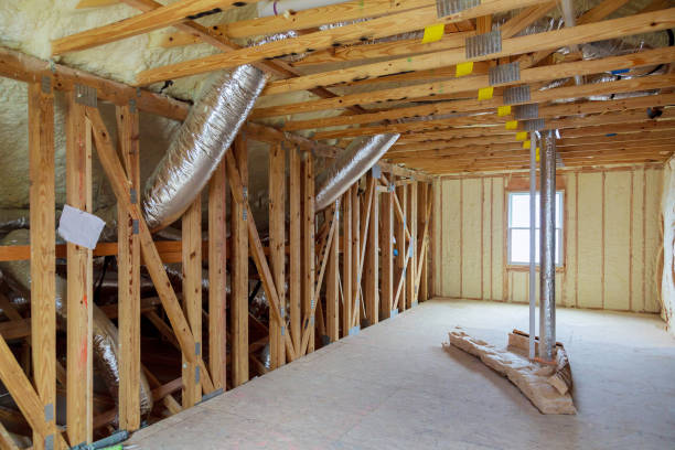 Types of Insulation We Offer in Minneola, FL